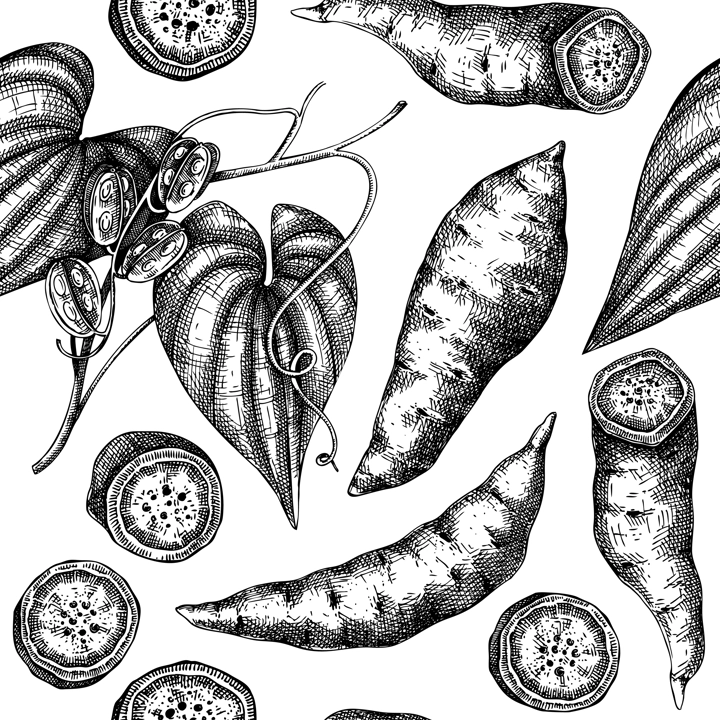 Agricultural plant pattern. Ube, Purple yam sketch. Root vegetable seamless endless background design, vegetarian food texture. Repeating print with plant based product. Vector illustration for print
